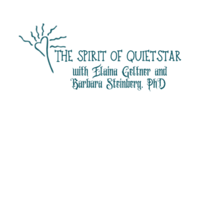 Spirit of QuietStar signature
