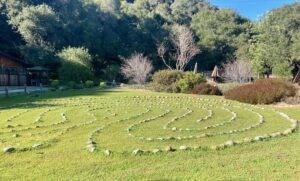 Labyrinth at Crows End